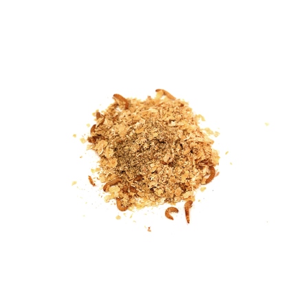 迷你麵包蟲 黃迷 九龍蟲