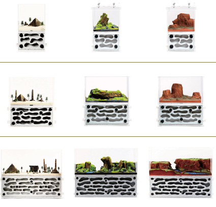 螞蟻飼養新手入門套組 蟻宅Pro飼養組