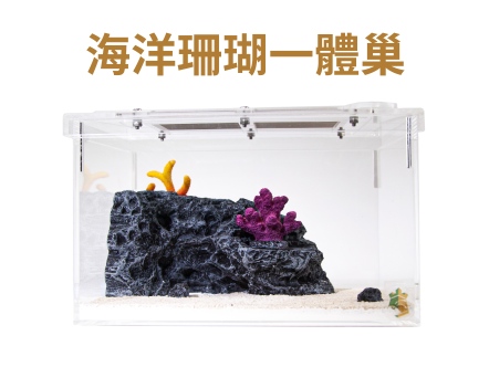 繽紛海底-海洋珊瑚 石膏巢 (中型)