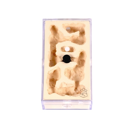 天然岩穴 密閉巢 連接式 平面 石膏巢 小型