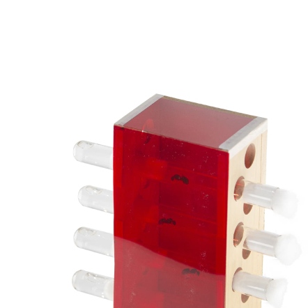 紅色遮光片 (A4大小) 