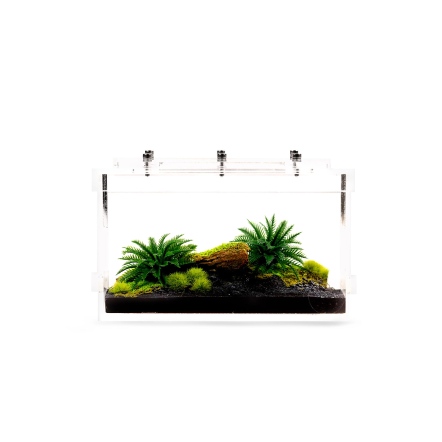 深林枯木 長型 壓克力 小型 餵食區